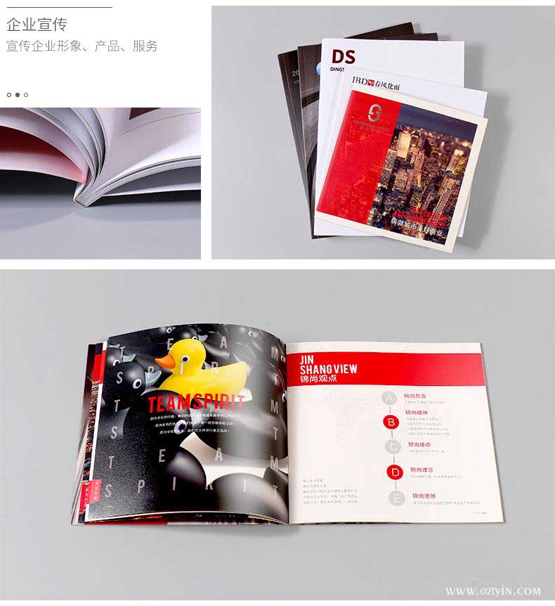 企業(yè)畫冊(cè)  第2張