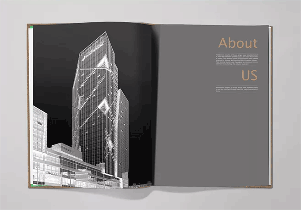 高檔樓書(shū)  第3張