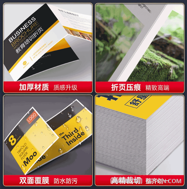 彩色折頁(yè)印刷 第3張 彩色折頁(yè)印刷 第3張