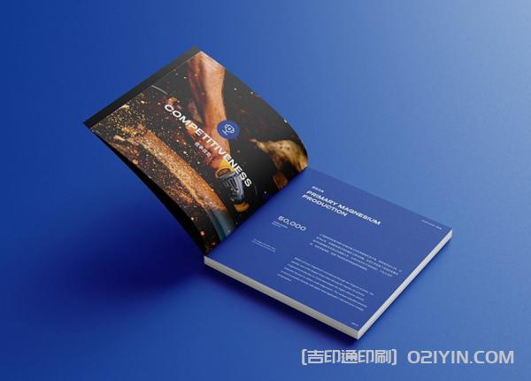 外企業(yè)畫冊(cè)設(shè)計(jì)印刷  第7張 外企業(yè)畫冊(cè)設(shè)計(jì)印刷  第7張