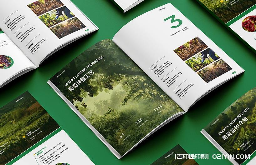 上海企業(yè)畫冊印刷專家：從設(shè)計(jì)到成品，一站式品質(zhì)服務(wù)