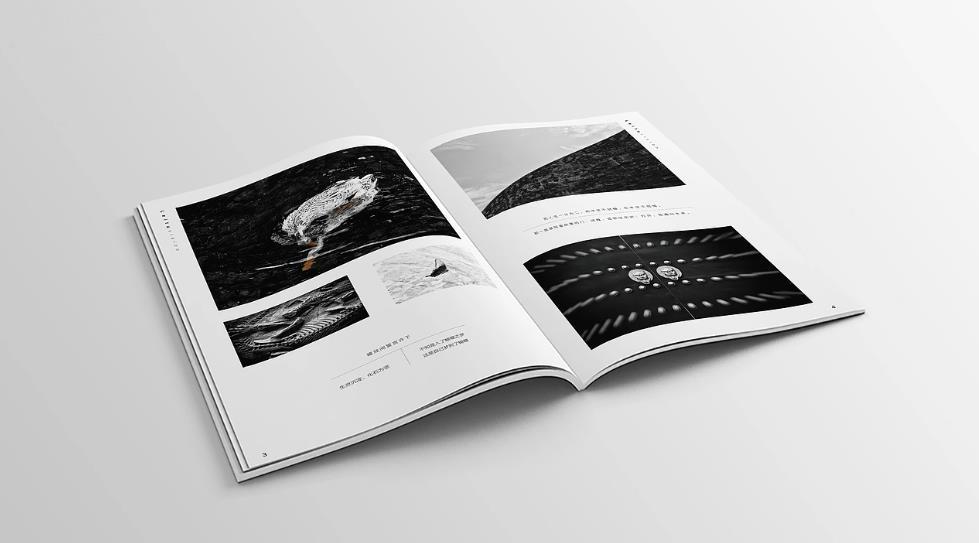 上海專(zhuān)業(yè)樣本畫(huà)冊(cè)印刷：企業(yè)的品牌形象守護(hù)者